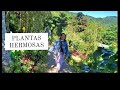 LA RUTA DE LAS FLORES (ALVANI🇸🇻)