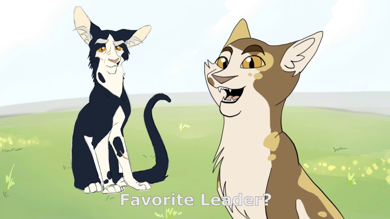 20 'Warriors' Questions