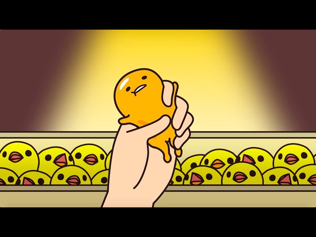Gudetama animation Episode376 official upload - YouTube