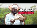 El último Adiós al sombrero de REGINO 😢