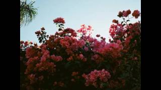 LANY - ILYSB (Stripped)