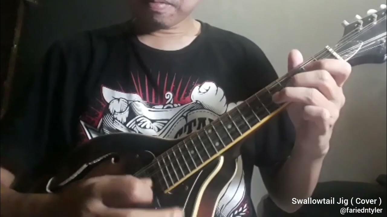 Swallowtail Jig Mandolin Cover YouTube