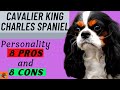 CAVALIER KING CHARLES SPANIEL PROs & CONs (Include Health Problems) - Must Watch Before Getting One