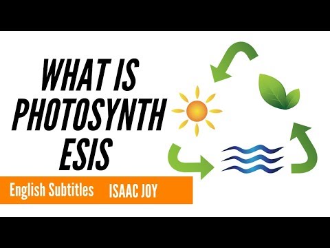 what-is-photosynthesis-english-subtitles-audio-book-isaac-joy