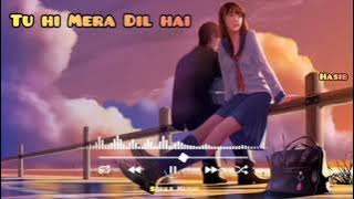 Tu Hi Mera Dil Hai Slowed and reverb lofi