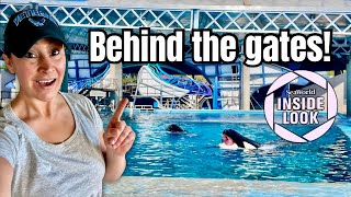 Hidden Secrets of SeaWorld San Antonio | Inside Look & Veterans Day Celebration