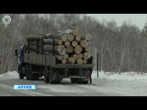 Большую часть пунктов приёма и отгрузки древесины легализовали в Новосибирской области