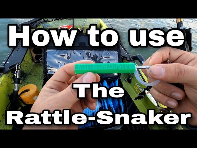 Unboxing and First Look: Zman Rattle-Snaker Revealed 
