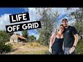 Living on a 5 Acre Tiny House Homestead | Harvesting Water, Sick Animals &amp; Growing Food