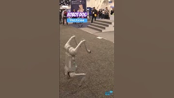 Robot Dog by Unitree - Jumps and Flips a 360 #robotdogs #robots #unittreerobotics