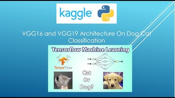 VGG16 and VGG19 Architecture On Dog and Cat Classification