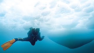 花江夏樹が流氷の声、石川由依が雪の声　津田健次郎がナレ担当　ドキュメンタリー映画「東京流氷～COOL IT DOWN～」予告