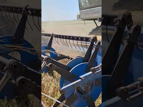 Video: Ozubené kolo je nepostradatelnou součástí stroje