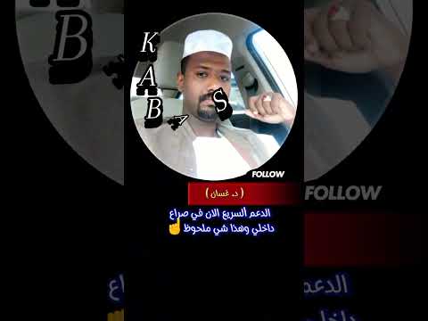 شاهد حصريا اهميه عبدالرحمن البيشي لدي الدعم السريع الجنجويد في المحور الغربي و الوسط د غسان 