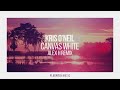 Kris O'Neil - Canvas White (Alex H Remix)