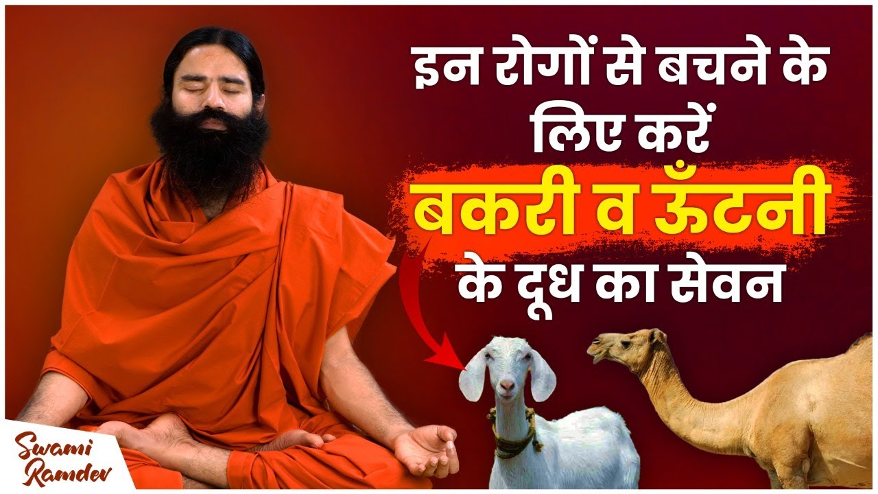 इन रोगों से बचने के लिए करें बकरी व ऊँटनी के दूध का सेवन || Swami Ramdev