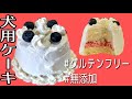 【グルテンフリー】犬用ケーキの作り方【可愛い＆簡単】