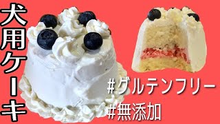 【グルテンフリー】犬用ケーキの作り方【可愛い＆簡単】