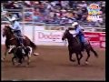 Bfi team roping top 52001