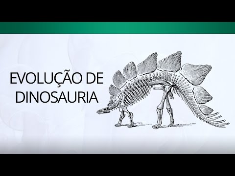 Vídeo: Quais são os grupos de dinossauros?