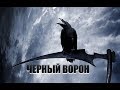 Черный ворон