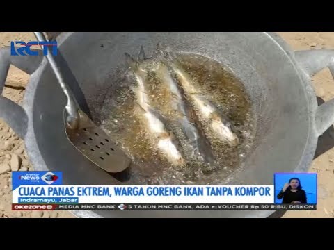 Video: Ikan Yang Terlalu Panas