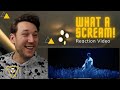 Is Dimash Screaming? - Reaction Video