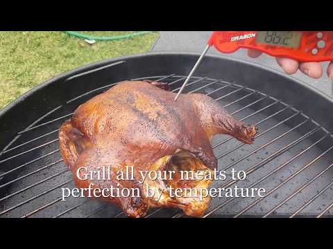 BBQ Dragon: Instant-Read Meat Thermometer