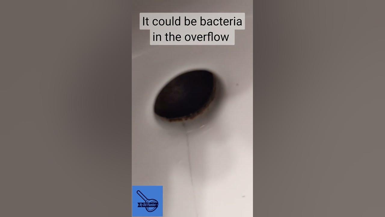 Does your bathroom Sink have a Bad Smell? How to fix it. shorts 