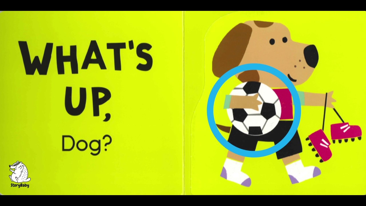 What's Up, Crocodile? | Interactive Books | Read Along Story Books