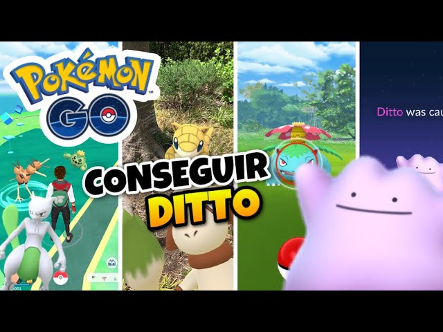 Cómo encontrar y capturar a Ditto de Pokémon GO (Diciembre 2023) - Liga de  Gamers