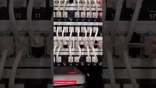 Patch Panel Close-Up in Server Room | Cable Management & Network Setup Explained