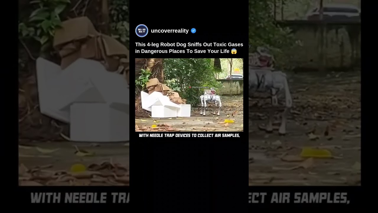 This 4 Leg Robot Dog Sniff Out Toxic Gases In Dangerous Places To Save Your Life 