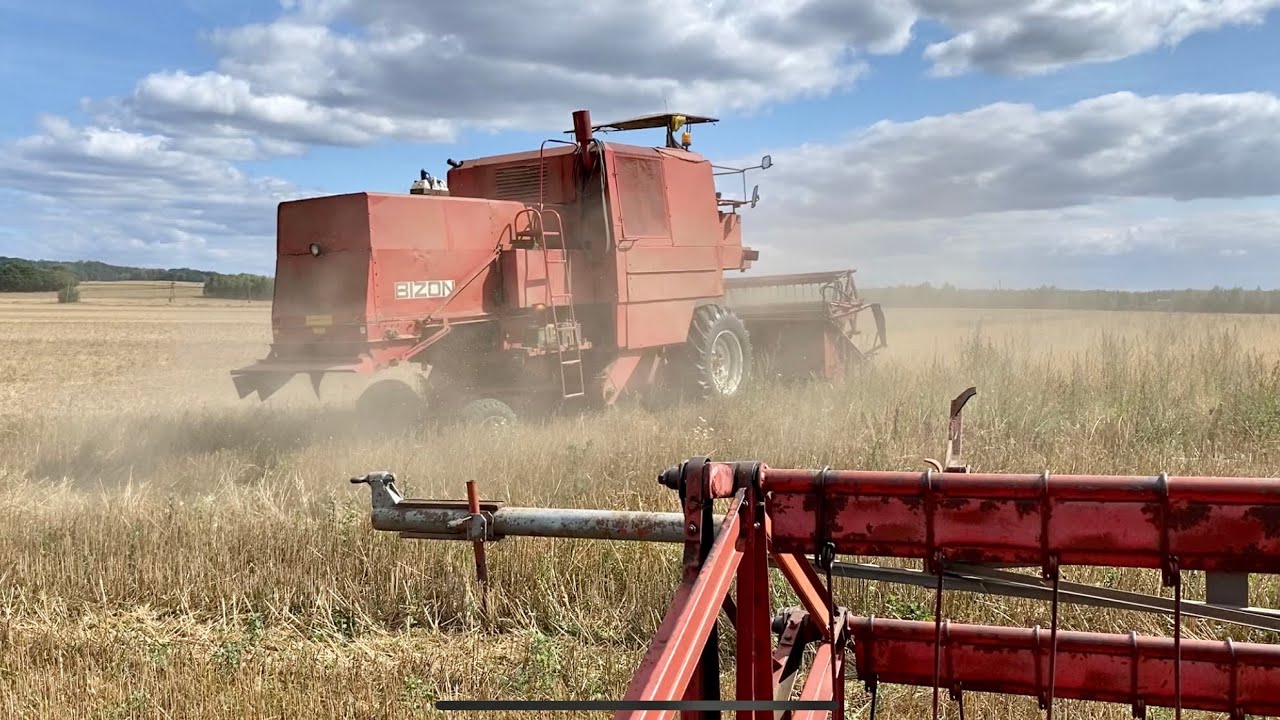 Bizon Gigant Z060 Zbiór Owsa