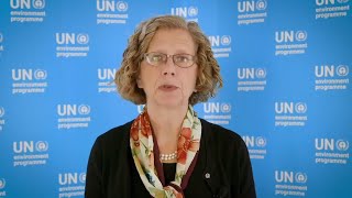 Inger Andersen | Real sustainability targets
