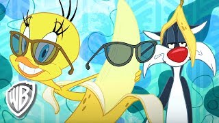 Looney Tunes En Français Un Oiseau Jaune Avec Titi Wb Kids