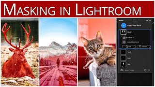 Masks &amp; Subject Detection in Lightroom for Beginners