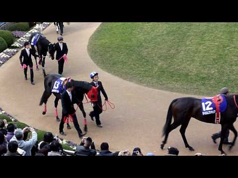 【ＨＤ】2009年 第54回有馬記念（GⅠ） パドック