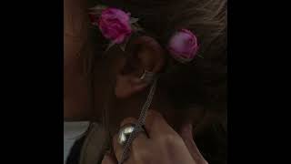 IMG 6234