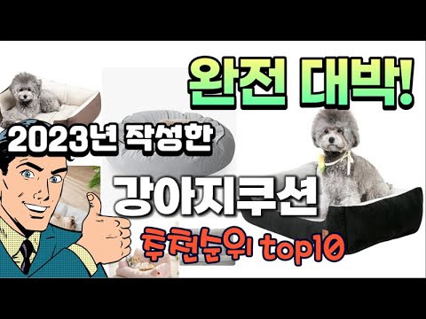 2023년 기준 정리해본 강아지쿠션 추천순위 TOP10