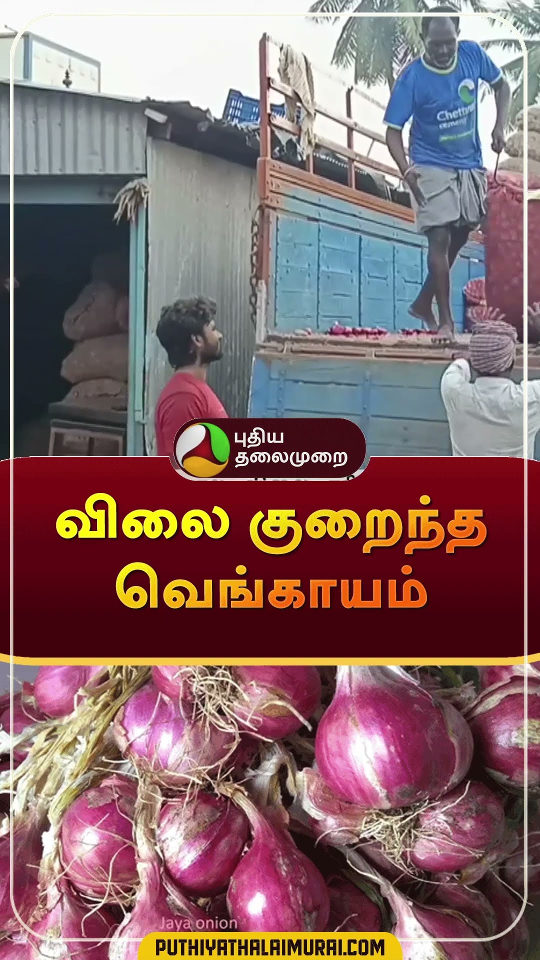 விலை குறைந்த வெங்காயம் | #shorts | #onion | #onionrate