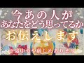 今あの人はあなたのことをどう思ってる？ 【 恋愛 気持ち タロット オラクル カード 占い】
