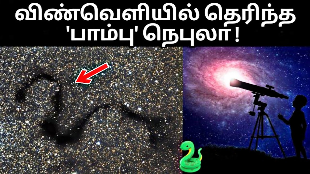 Snake Nebula | Barnard 72 | Nebula in Tamil | Space Info Tamil