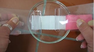 AATCC Color Fastness to Water ISO