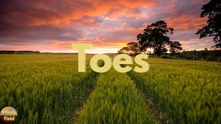 Zac Brown Band - Toes (Lyrics)