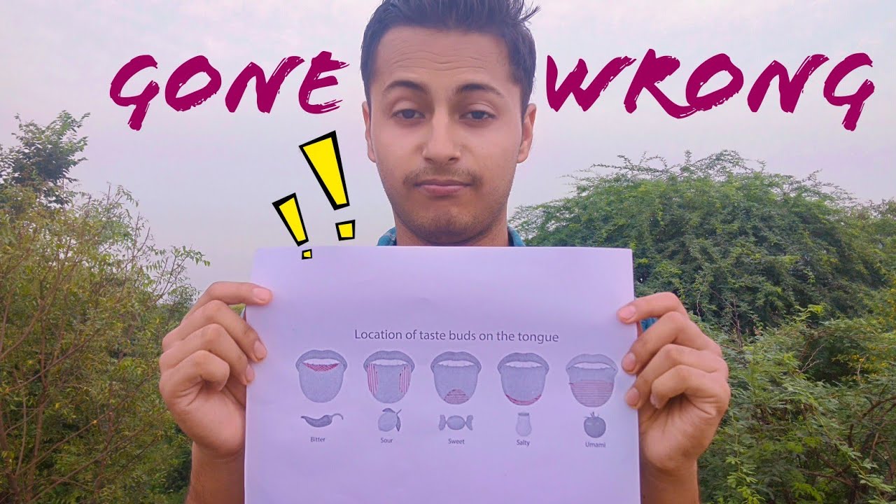 TASTE TEST GONE WRONG !!! YouTube