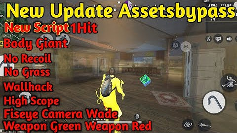 🔥New​ Update​ Assetsbypass​/Script​/X-Rray/Character.npk​/No​ Banned​/Sefe100​%🔥
