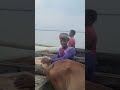দেখেন অসহায় দরিদ্র মানুষেরা কত পরিশ্রম করে জায়গায় মালিক আল্লাহ #shortsfeed #লোকসভা #ঝড়েরসতর্কতা
