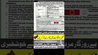 Forest Department Jobs 2025 Apply Online | Pakistan Government job #govtjobs2025