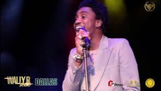 WALLY B SECK CONCERT LIVE IN  DALLAS  AFRICAN LIVE JAM 2022 #wally seck#